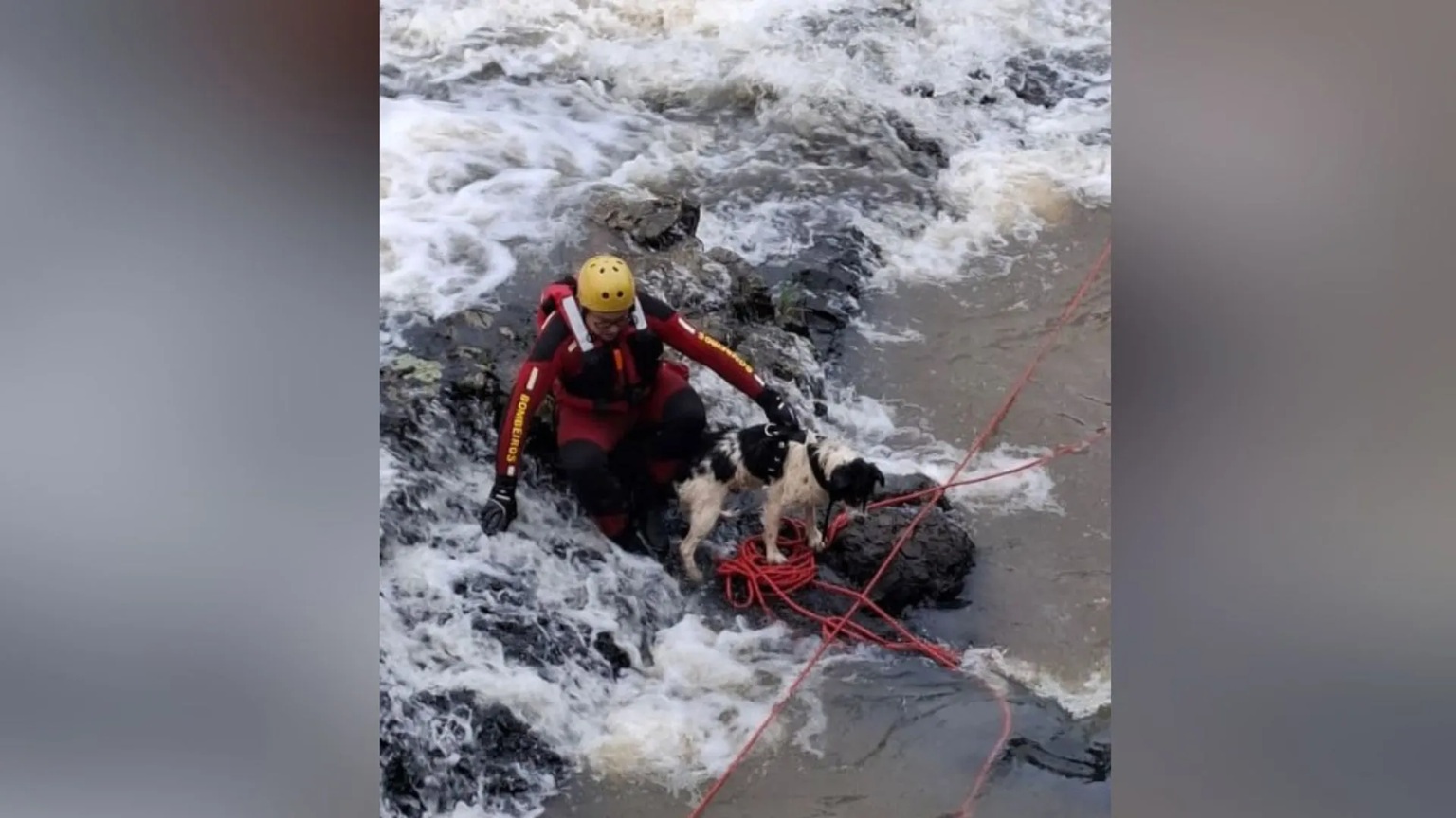 Cachorro é resgatado pelos Bombeiros após ficar preso em pedra de cachoeira em Caçador