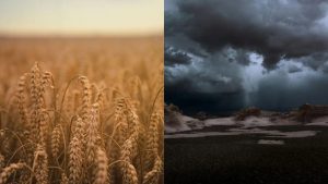 El Niño pode pressionar preços de alimentos em Santa Catarina nos próximos meses