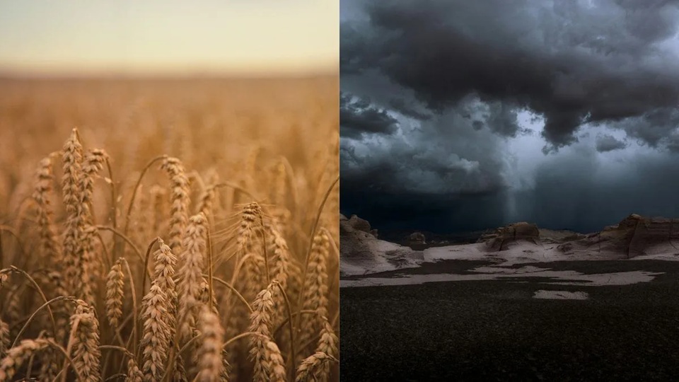El Niño pode pressionar preços de alimentos em Santa Catarina nos próximos meses