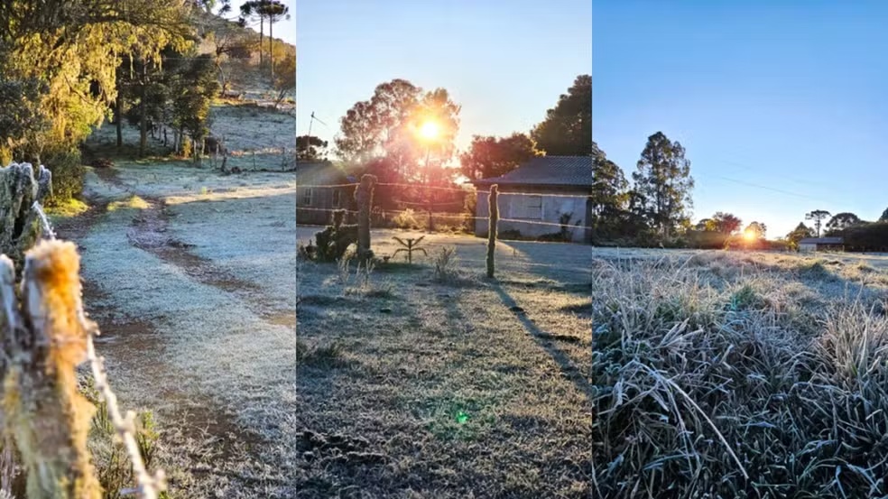 SC amanhece com geada e uma das menores temperaturas do ano