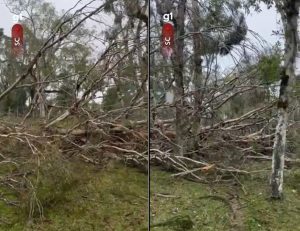 Possível tornado em SC é investigado pela Defesa Civil