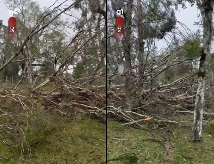 Possível tornado em SC é investigado pela Defesa Civil