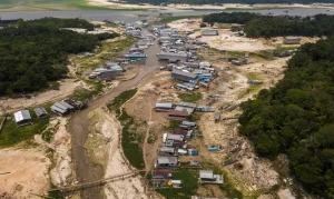 Seca da Amazônia atingiu 38% das áreas habitadas no último El Niño