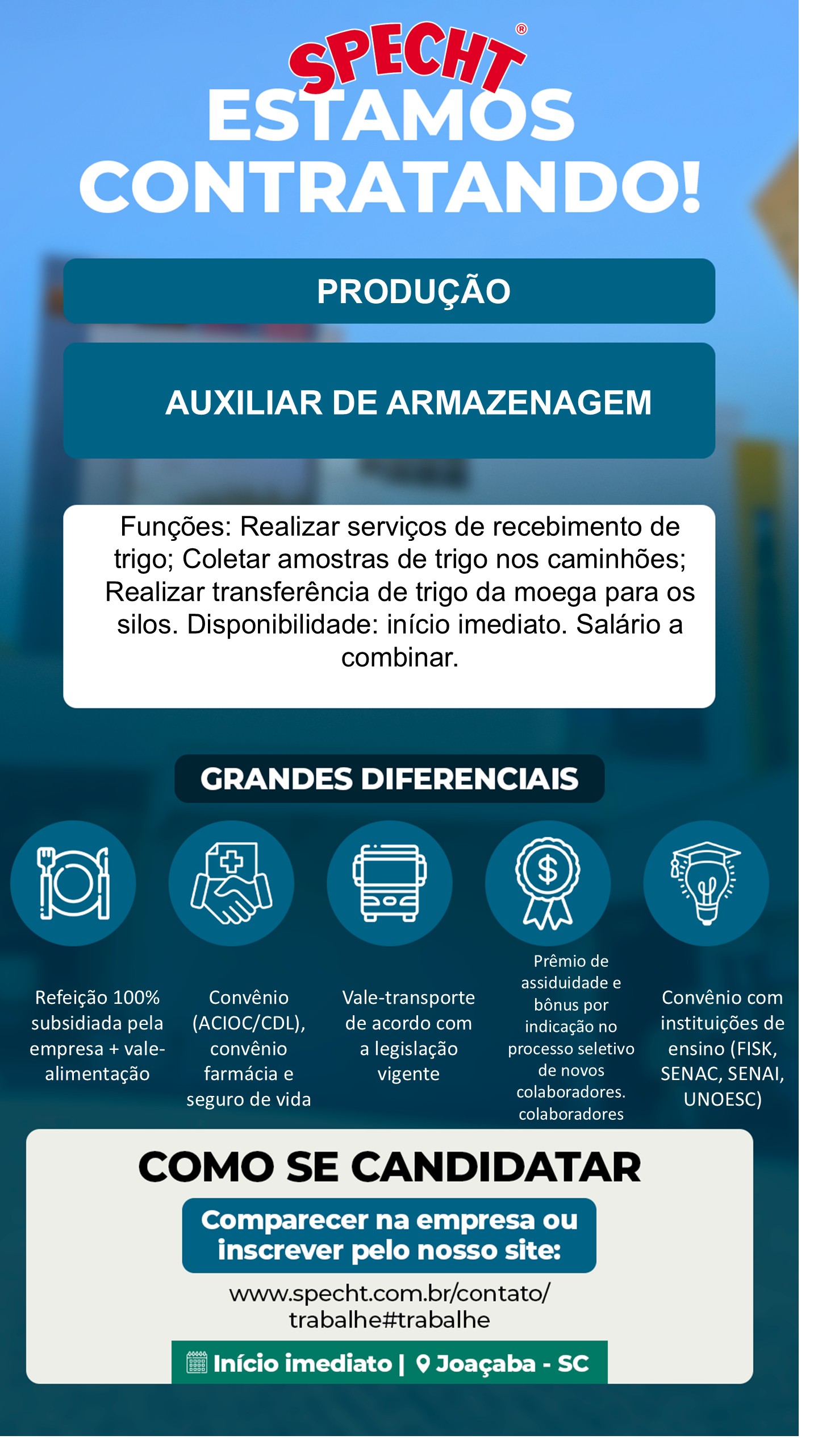Auxiliar de armazenagem