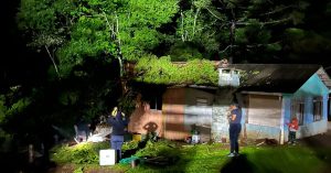 Fotos! Queda de araucária causa grandes estragos em residência no interior de Herval d’Oeste
