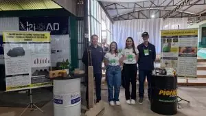 De resíduo de bateria a tijolo ecológico: a inovação que nasceu no Meio-Oeste catarinense