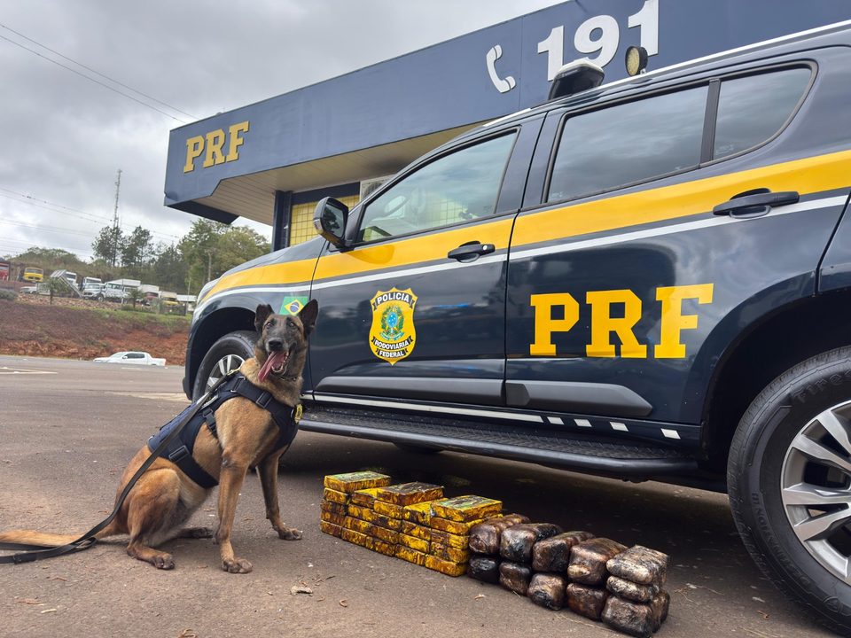 Cães farejadores da PRF encontram 35 kg de drogas escondidos no motor de carreta na BR-282