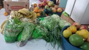 Prefeitura de Campos Novos responde a denúncias sobre abrigo de crianças