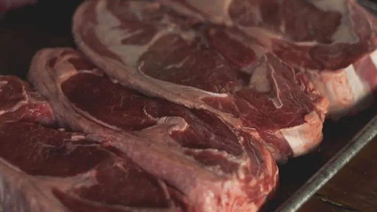 Brasil contesta veto da União Europeia a produtos de origem animal e ameaça medidas de retaliação