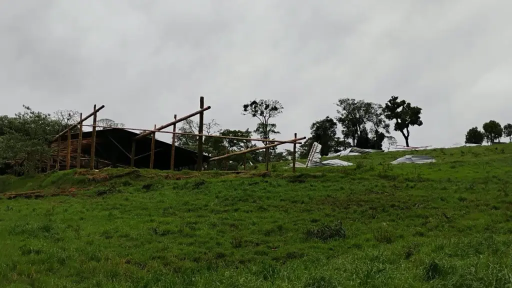 Estrutura do barracão novo para gado de corte destruída pelo vendaval em Jaborá