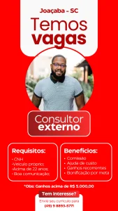 Consultor Externo