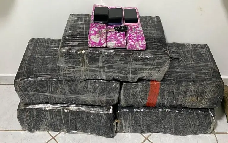 Polícia Militar apreende 101 kg de maconha e prende três pessoas após fuga na BR-282