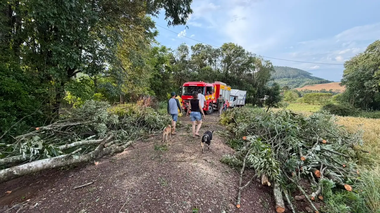 Temporais de granizo e vento causam destruição no Oeste de SC