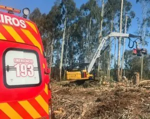 Trabalhador de 23 anos morre atingido por toras de eucalipto em São José do Cerrito