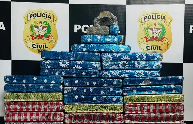 Polícia Civil apreende 30 kg de maconha e desarticula esquema de tráfico em Chapecó
