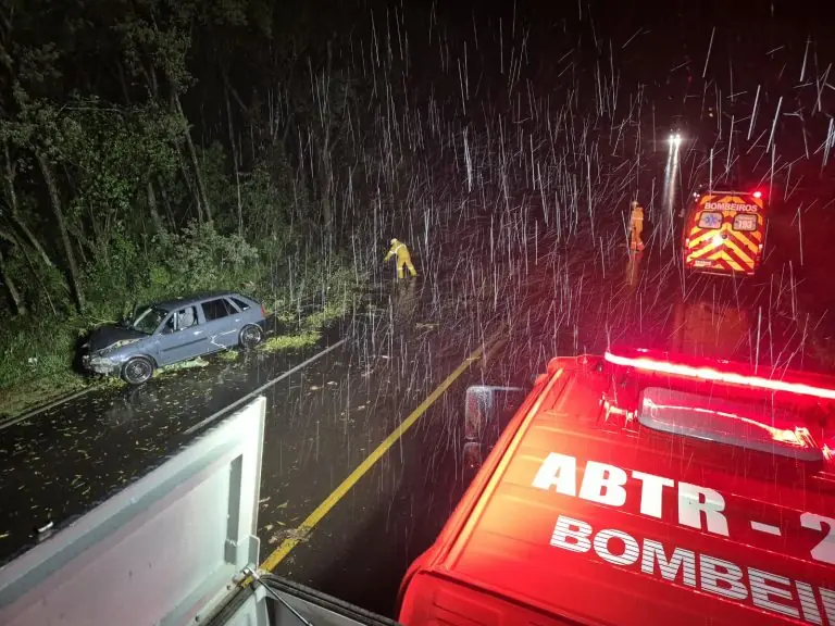 Temporal derruba árvore sobre carro, bloqueia a BR-282 e causa estragos em SC