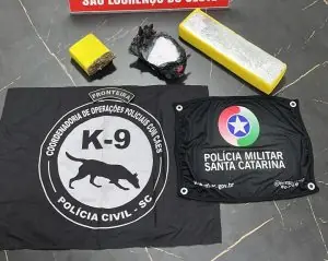 Cão farejador encontra drogas no porta-malas e Polícia Civil prende motorista na SC-157