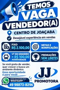 Vendedor(a)