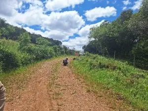 Homem de 60 anos é encontrado morto no interior de Campos Novos