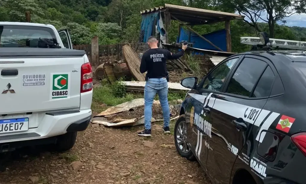 Fiscalização identifica maus-tratos a animais e graves riscos ambientais em propriedade rural de SC
