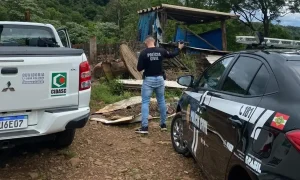 Fiscalização identifica maus-tratos a animais e graves riscos ambientais em propriedade rural de SC