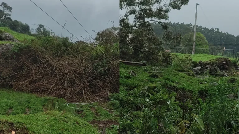 Celesc mobiliza equipes para recuperar rede elétrica após estragos causados por temporais no Meio-Oeste