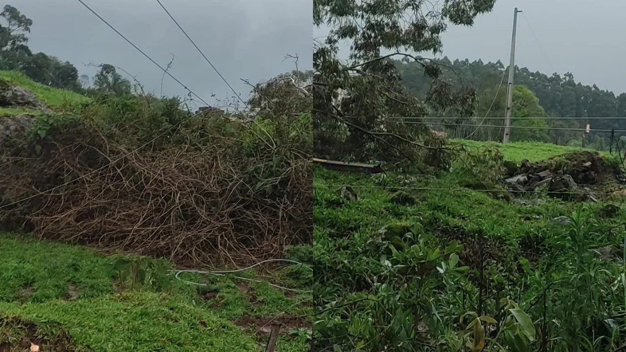Celesc mobiliza equipes para recuperar rede elétrica após estragos causados por temporais no Meio-Oeste