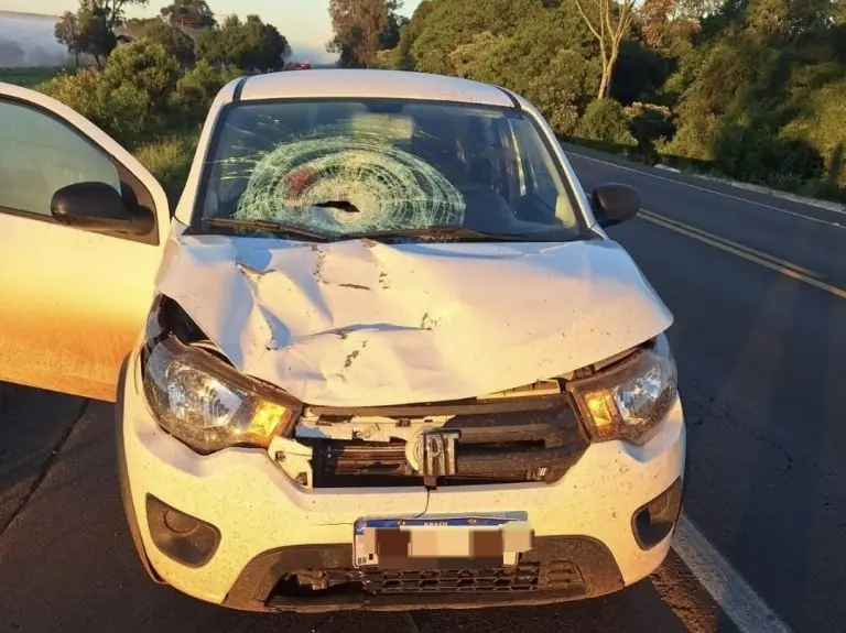 Homem morre atropelado na BR-282, em Xanxerê