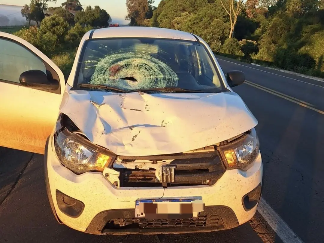 Homem morre atropelado na BR-282, em Xanxerê