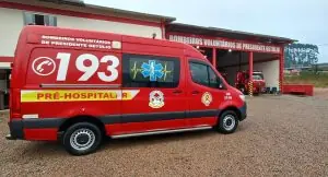 Trabalhador morre após ser atingido por árvore durante corte em SC