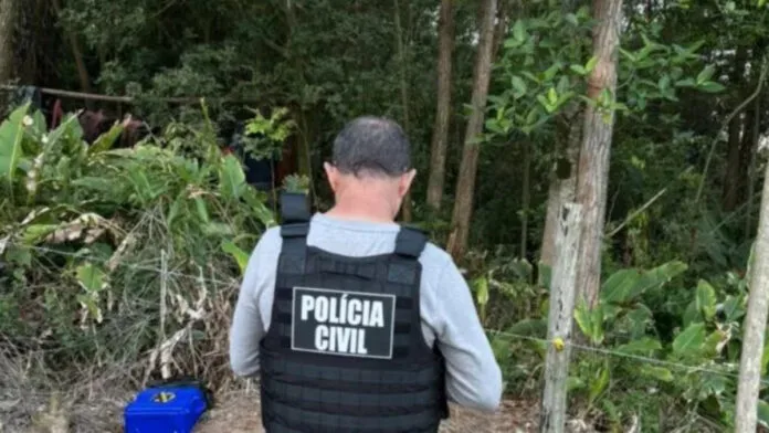 Três corpos carbonizados são encontrados em mata em SC; vítimas podem ser irmãos