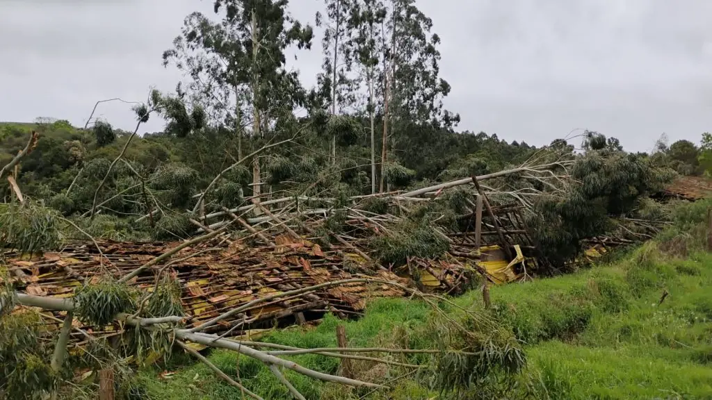 Vendaval destrói barracões e deixa animais desabrigados em propriedade rural de Jaborá