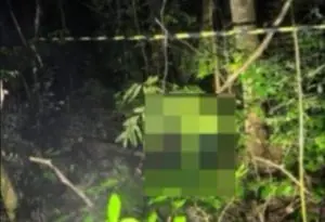 Oeste de SC registra novo caso suspeito de feminicídio; professora é encontrada morta em mata