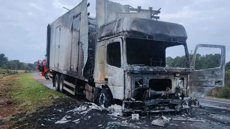 Caminhão que transportava medicamentos pega fogo na BR-282, em Campos Novos