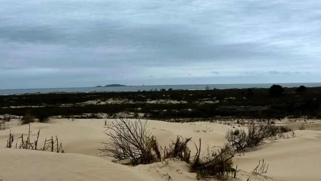 Homem condenado a 16 anos foge por 7 km em dunas e mata, mas é localizado por drone e preso em SC