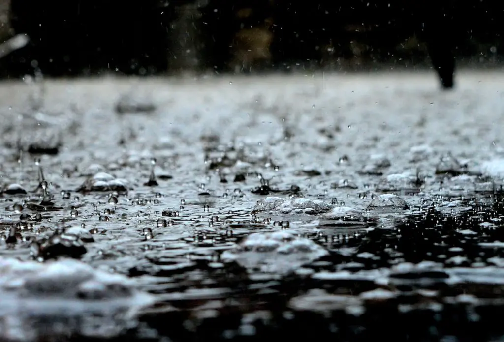 El Niño deve aumentar risco de temporais e enchentes em Santa Catarina nas próximas semanas