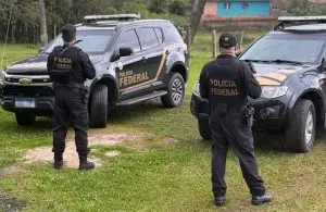 PF faz operação contra extração ilegal de madeira e afasta policial rodoviário federal em SC