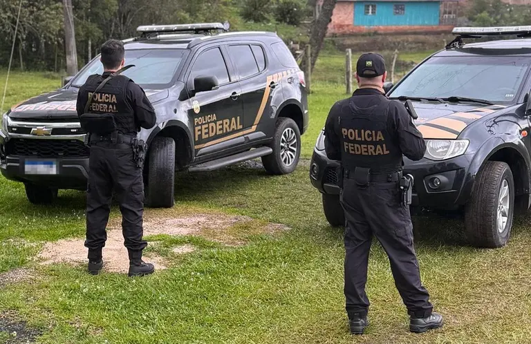 PF faz operação contra extração ilegal de madeira e afasta policial rodoviário federal em SC