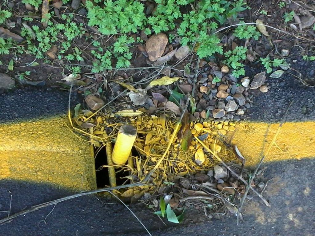 Empresa pinta faixa por cima de entulho em rua