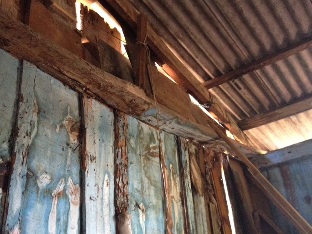 Vizinhos fazem campanha para auxiliar idosa