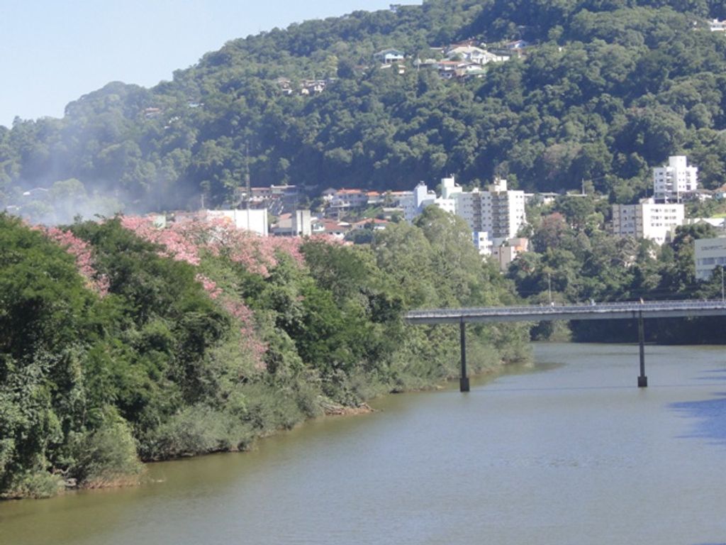 Mulher tenta se jogar da passarela