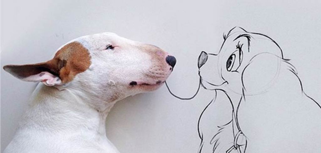 Ilustrador Brasileiro brinca com seu bull terrier e faz sucesso em rede social