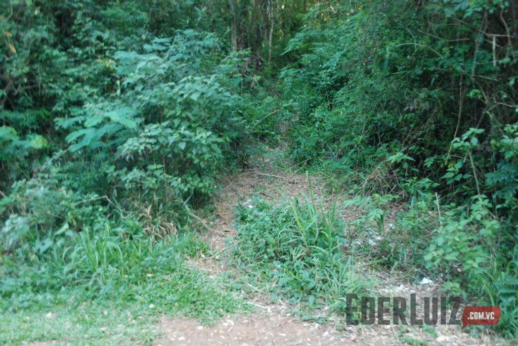 Homem que agarrou vítima e tentou puxar para o mato foi detido, mas não ficou preso