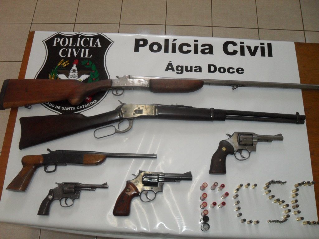 Operação da Polícia Civil apreende armas de fogo em fazenda