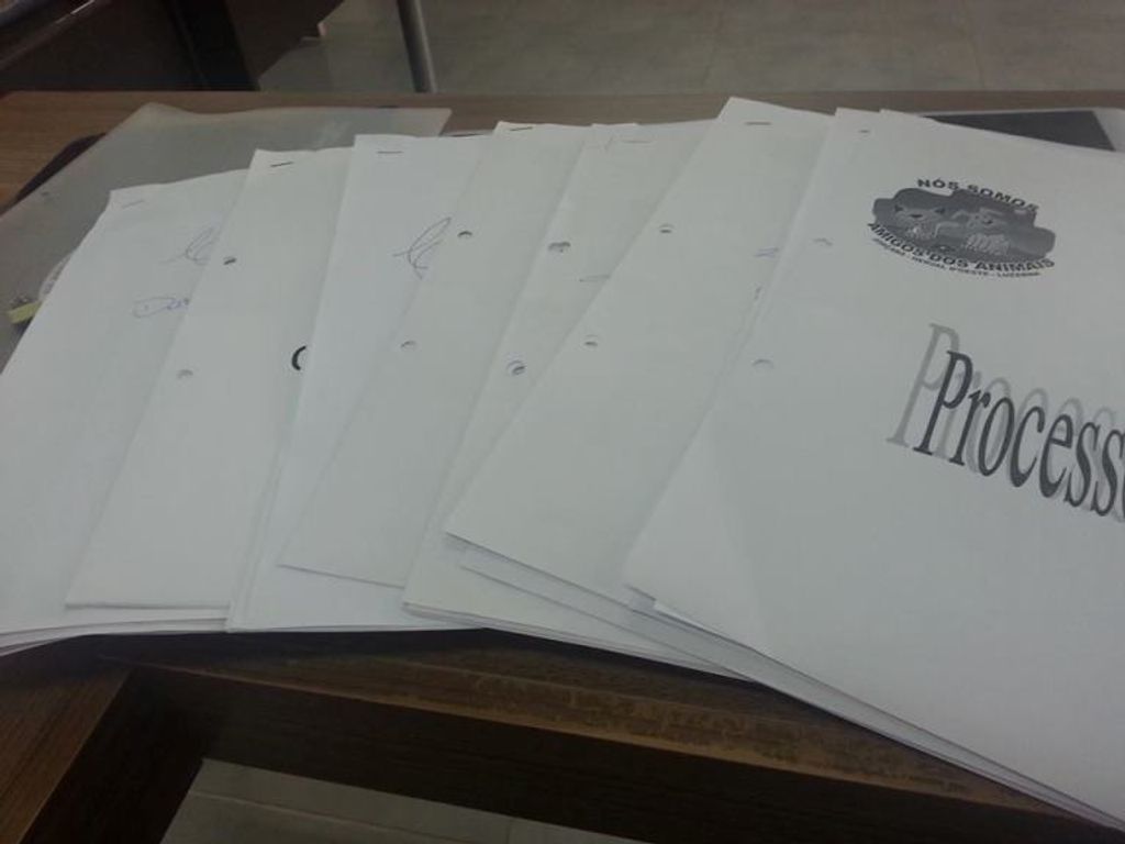 ONG Amigos dos animais – Sementes do bem são plantadas para garantir vida digna aos animais