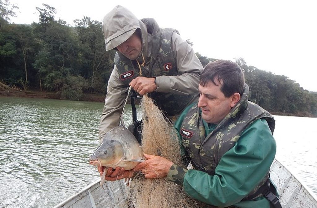 Polícia Ambiental atende poucas ocorrências durante o período da Piracema