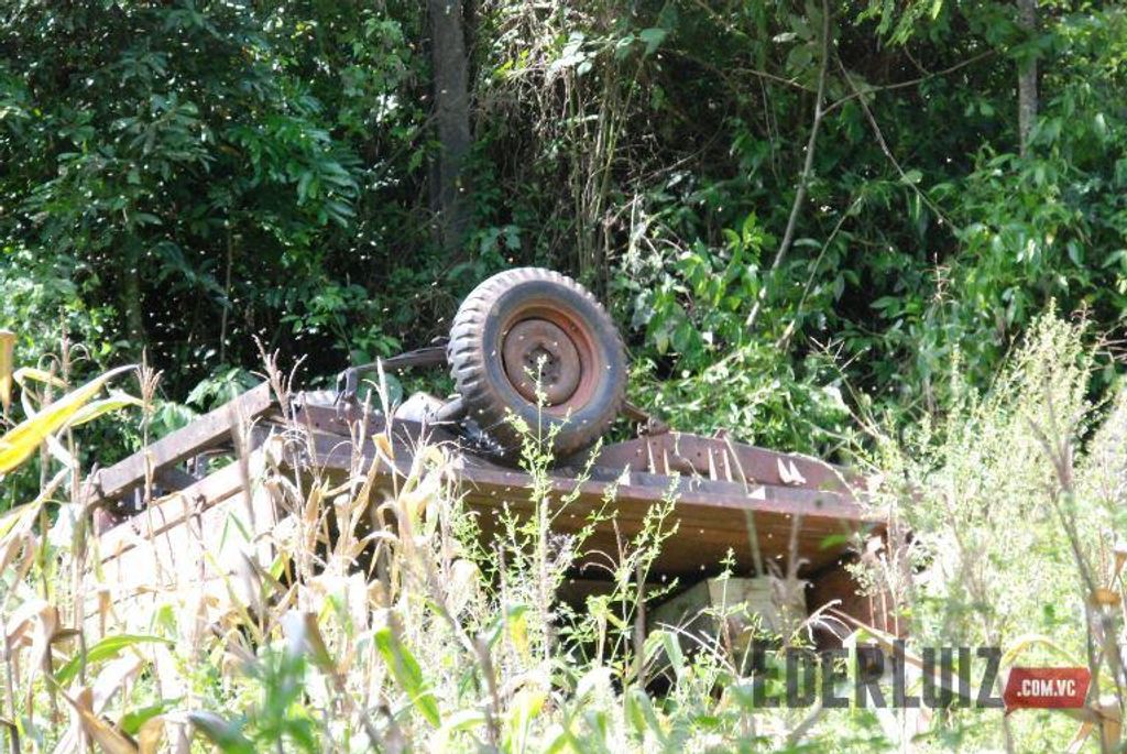 Apicultor tomba máquina agrícola e fica preso cercado por milhares de abelhas