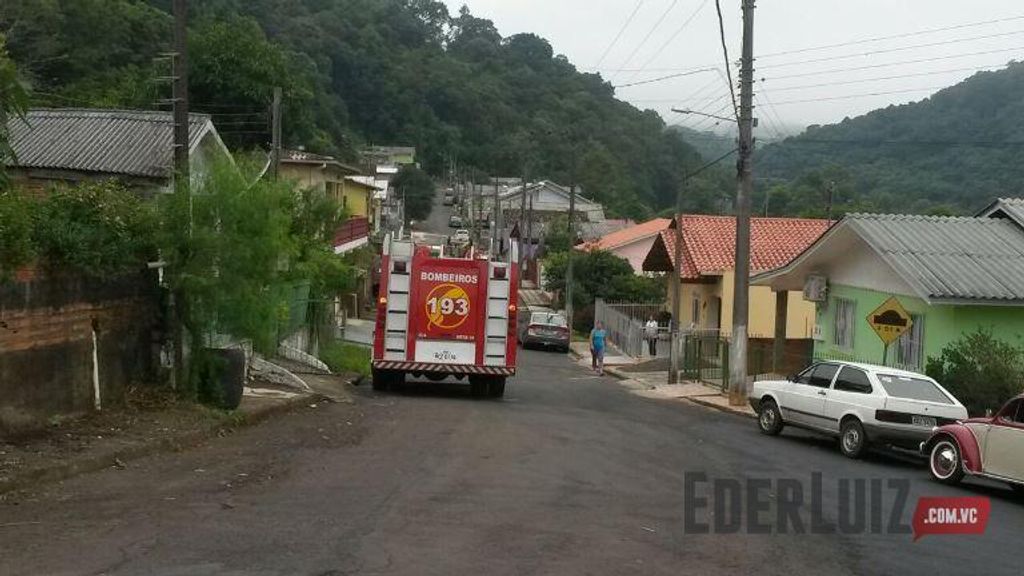 Queda de árvore destrói parte de casa