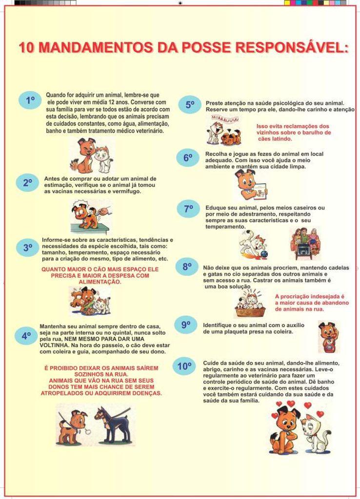 ONG busca lares para cães de cuidadora que foi assassinada em Herval