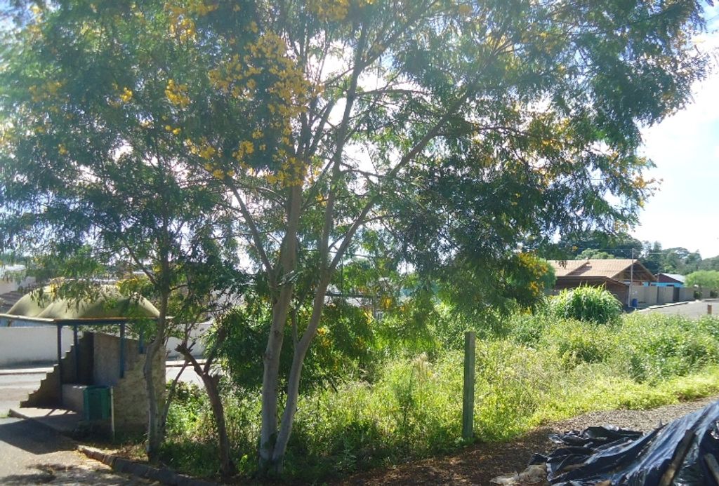 Moradores cobram providência em relação a terrenos baldios tomados pelo mato
